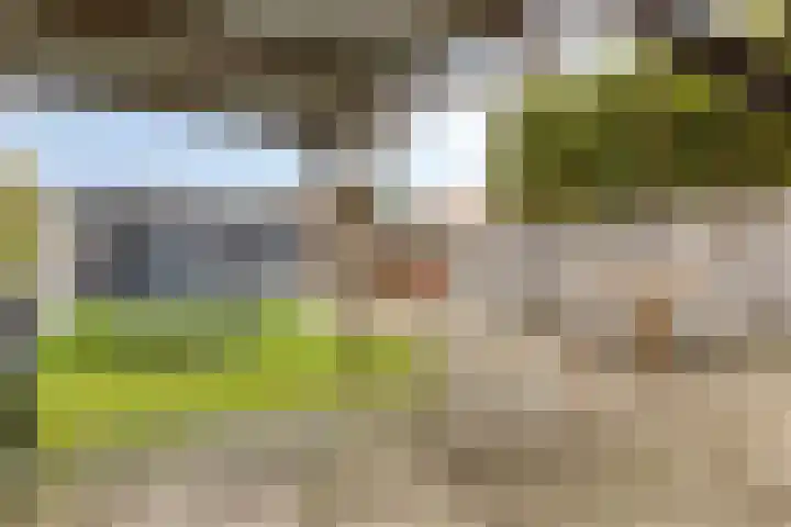 Kerklaan 30 Heinkenszand thumbnail 38