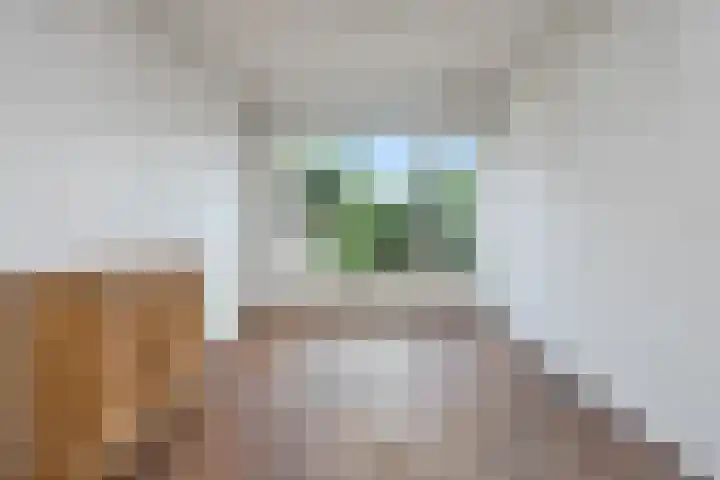 Kerklaan 31 Koudekerk aan den Rijn thumbnail 12