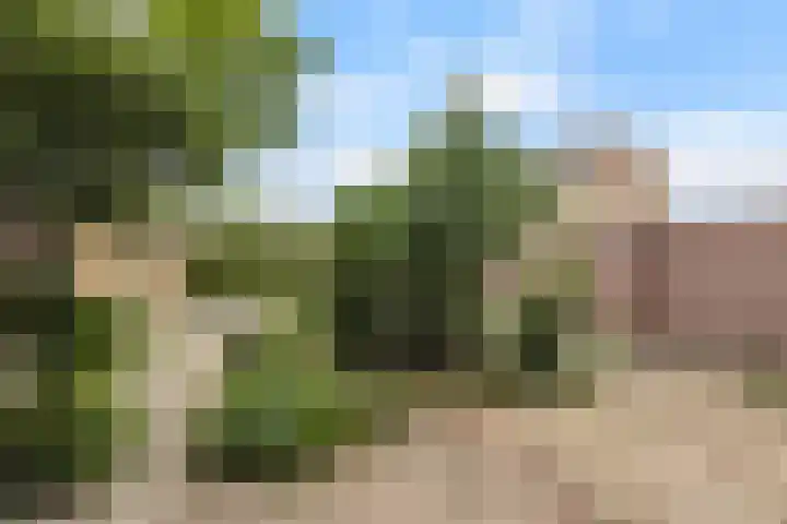Kerklaan 31 Koudekerk aan den Rijn thumbnail 31