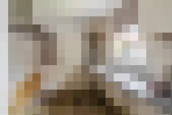 Kerklaan 32 Capelle aan den IJssel thumbnail 14