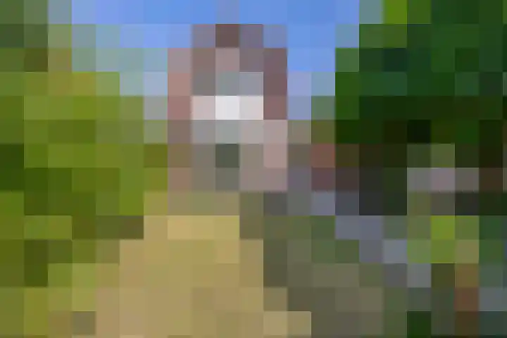Kerklaan 32 Capelle aan den IJssel thumbnail 37