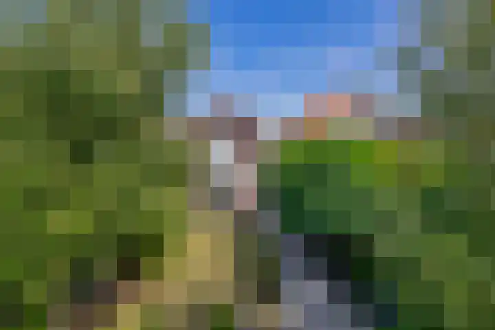 Kerklaan 32 Capelle aan den IJssel thumbnail 39