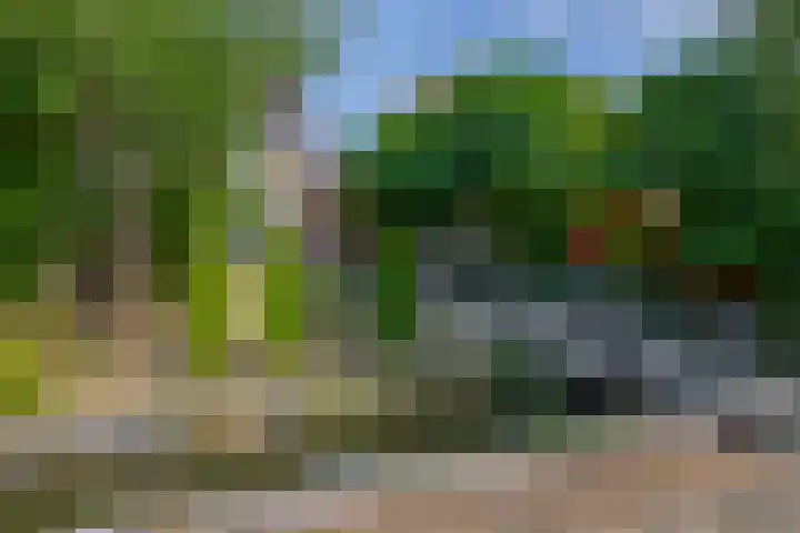 Kerklaan 32 Capelle aan den IJssel thumbnail 41