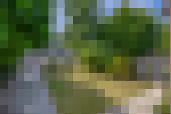 Kerklaan 32 Capelle aan den IJssel thumbnail 5