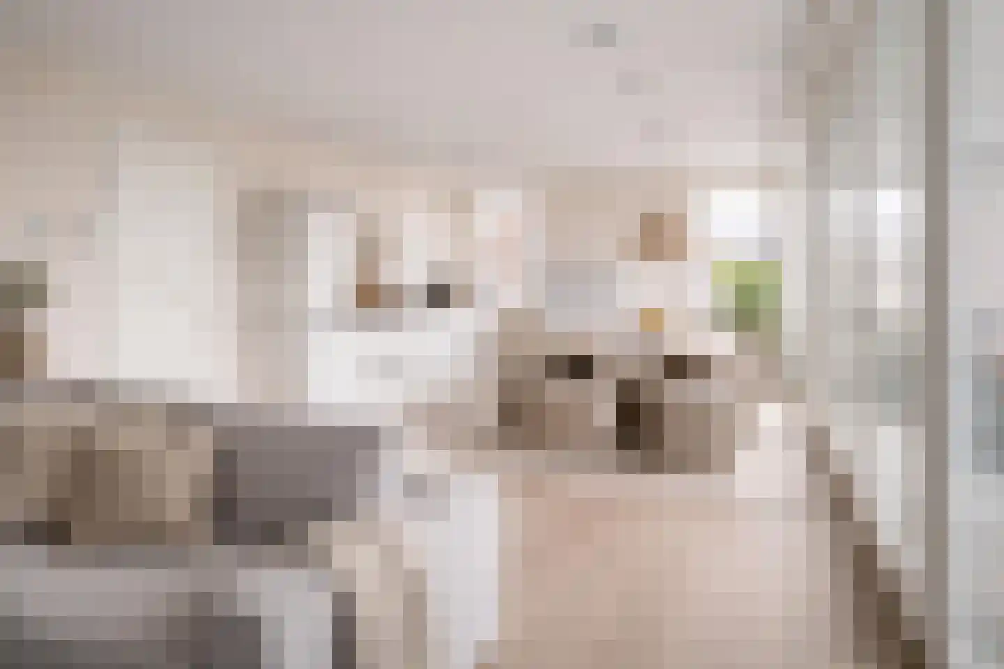 Kerklaan 32 De Kwakel thumbnail 5