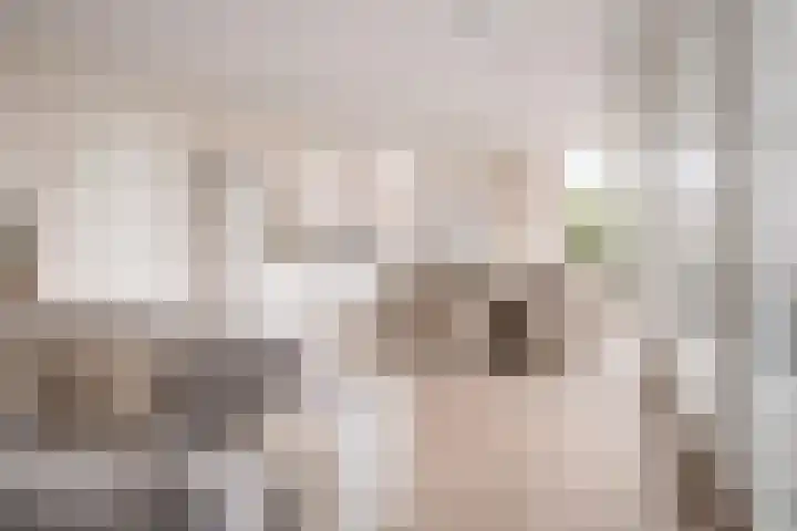Kerklaan 32 De Kwakel thumbnail 5