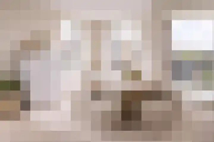 Kerklaan 32 De Kwakel thumbnail 7