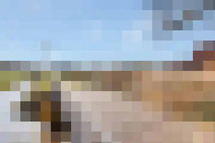Kerklaan 32 Kortenhoef thumbnail 38