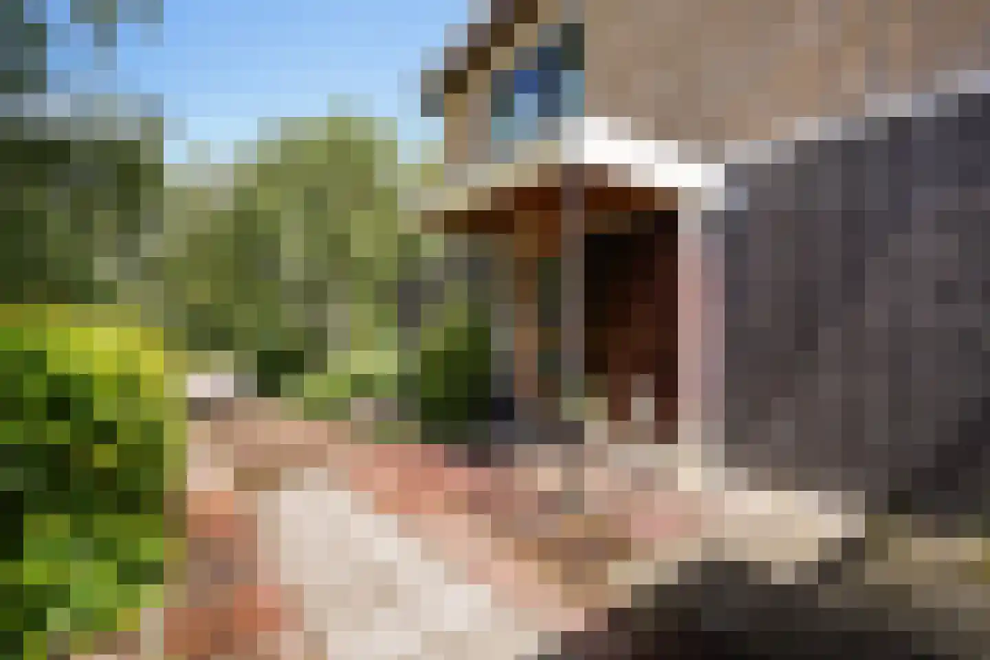 Kerklaan 32 Schiedam thumbnail 19