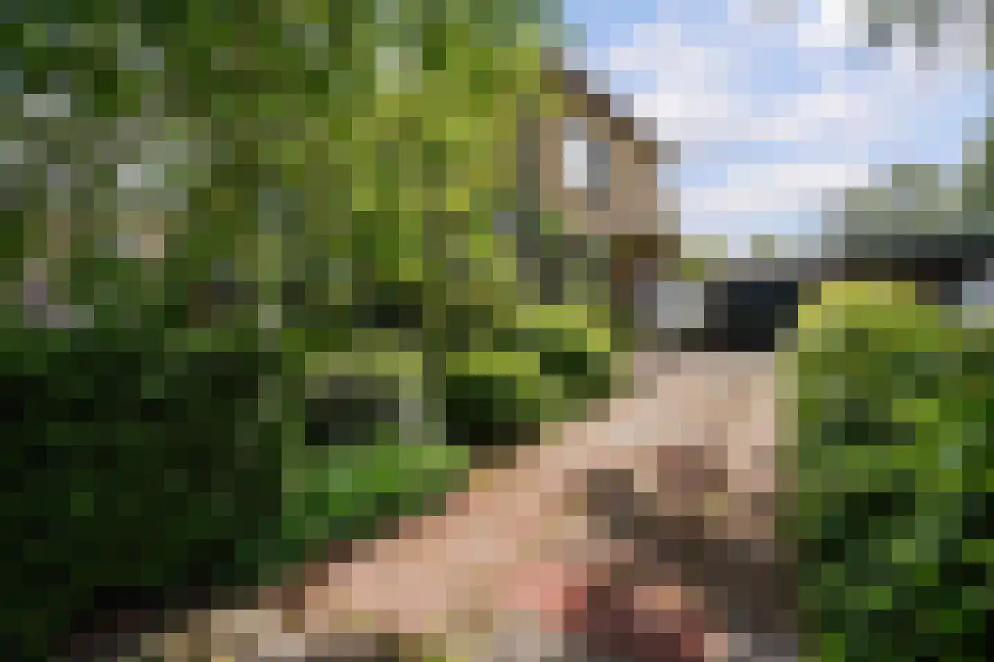 Kerklaan 32 Schiedam thumbnail 20