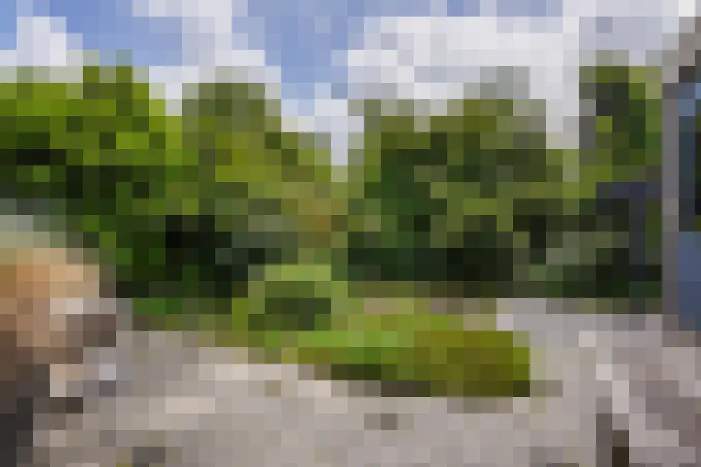 Kerklaan 32 Schiedam thumbnail 28