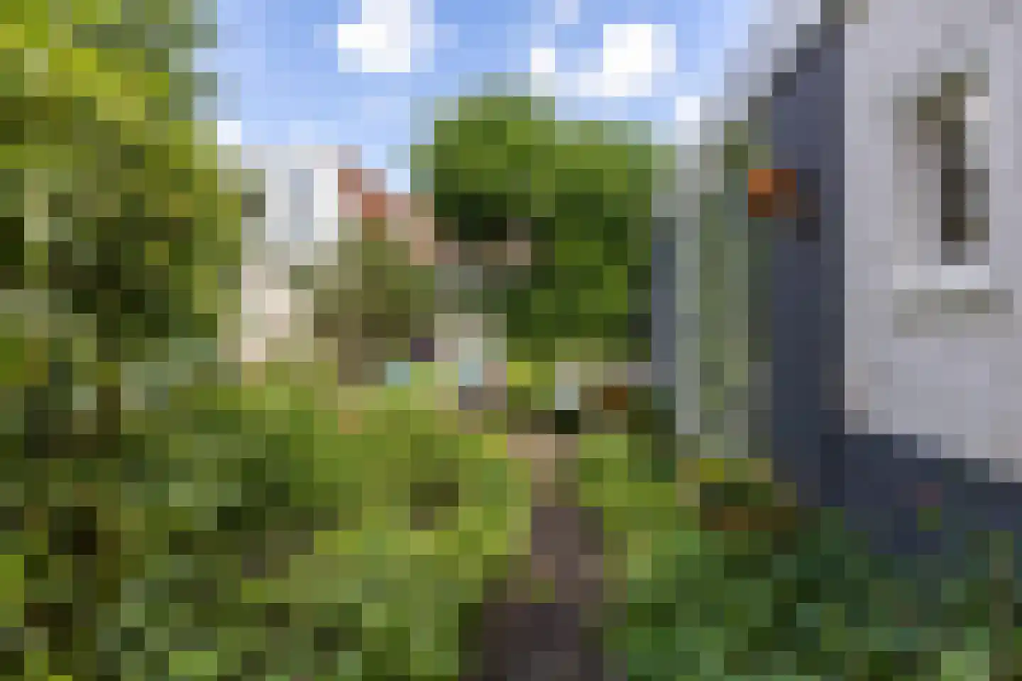 Kerklaan 33 Groningen thumbnail 16