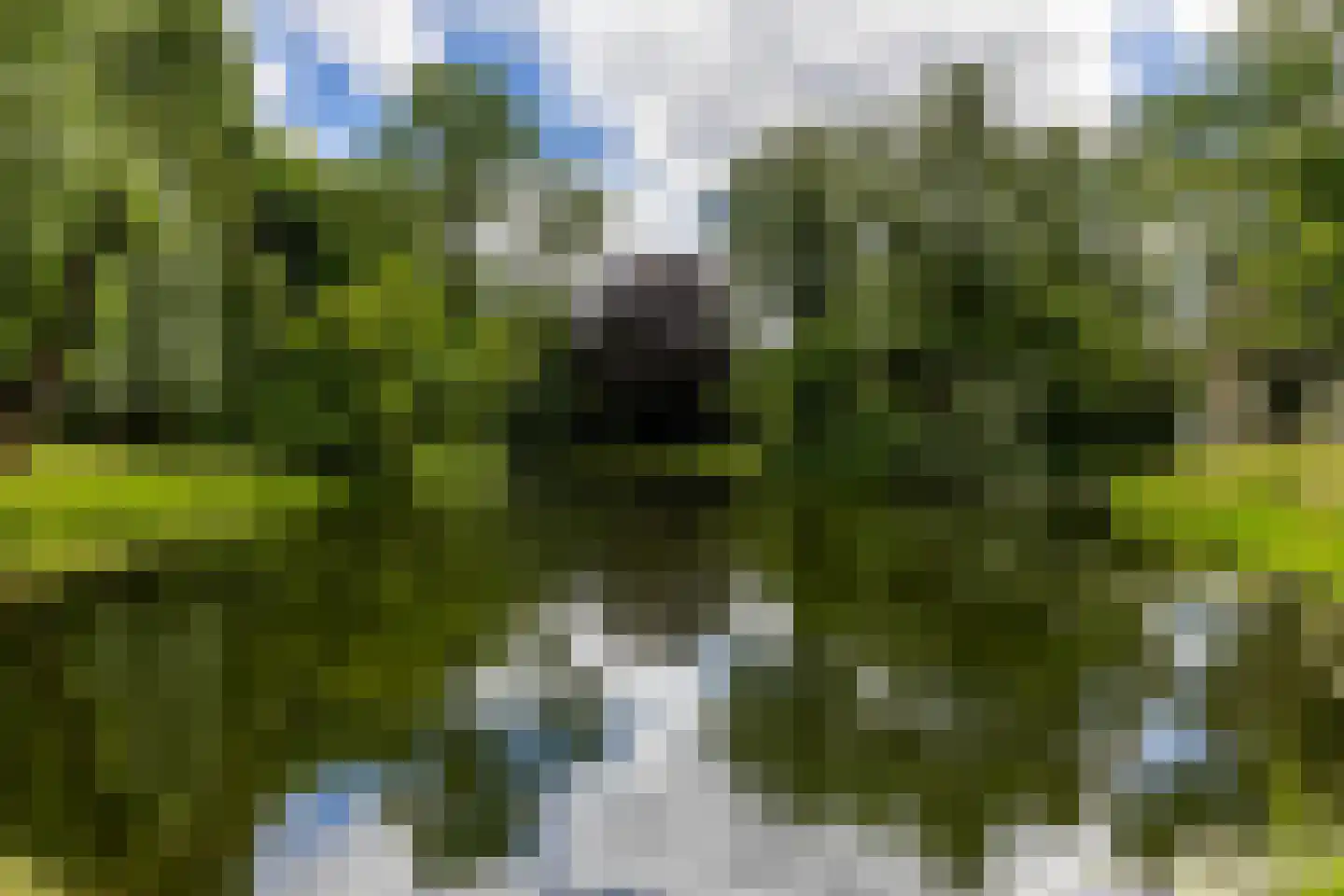 Kerklaan 33 Groningen thumbnail 37