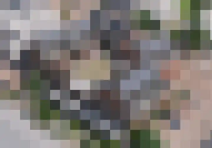 Kerklaan 34 De Kwakel thumbnail 5