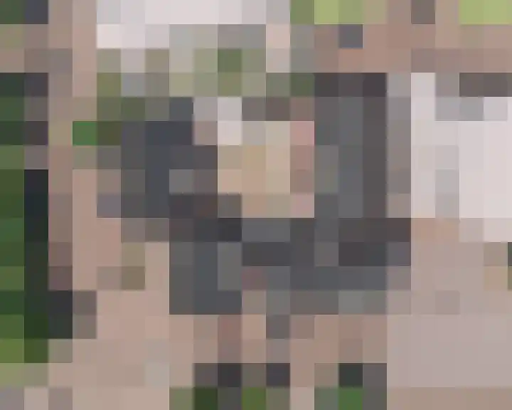 Kerklaan 34 De Kwakel thumbnail 6