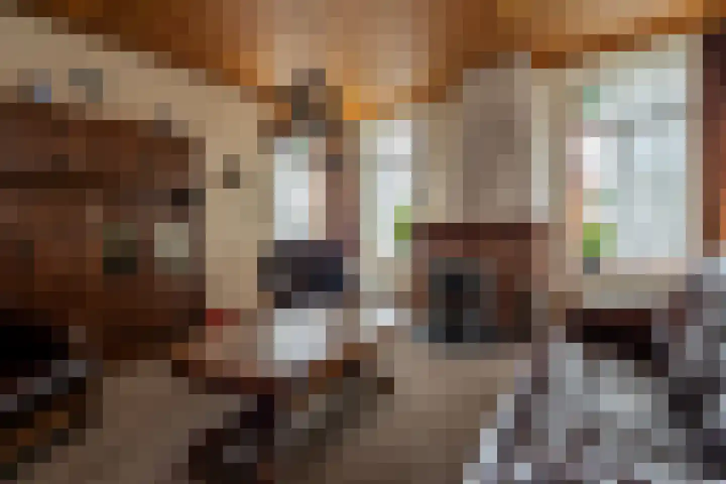 Kerklaan 35 Oude Pekela thumbnail 4