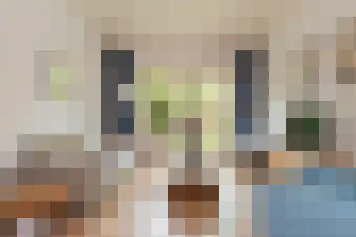 Kerklaan 36 Doorwerth thumbnail 11