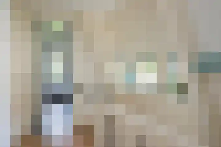 Kerklaan 36 Doorwerth thumbnail 39