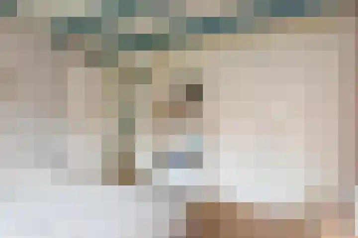 Kerklaan 36 Doorwerth thumbnail 46