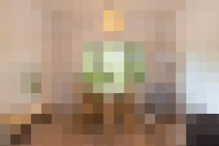 Kerklaan 36 Doorwerth thumbnail 6