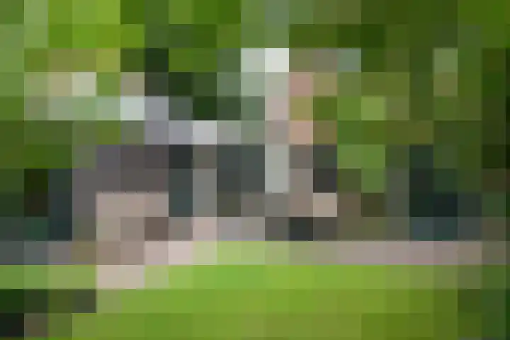 Kerklaan 36 Doorwerth thumbnail 60