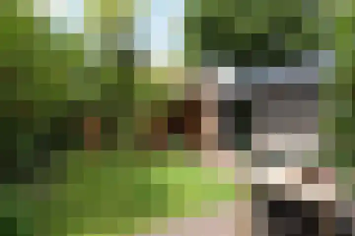 Kerklaan 36 Doorwerth thumbnail 62
