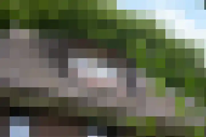 Kerklaan 36 Doorwerth thumbnail 64
