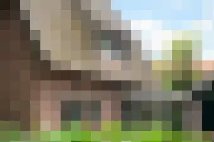 Kerklaan 36 Doorwerth thumbnail 70