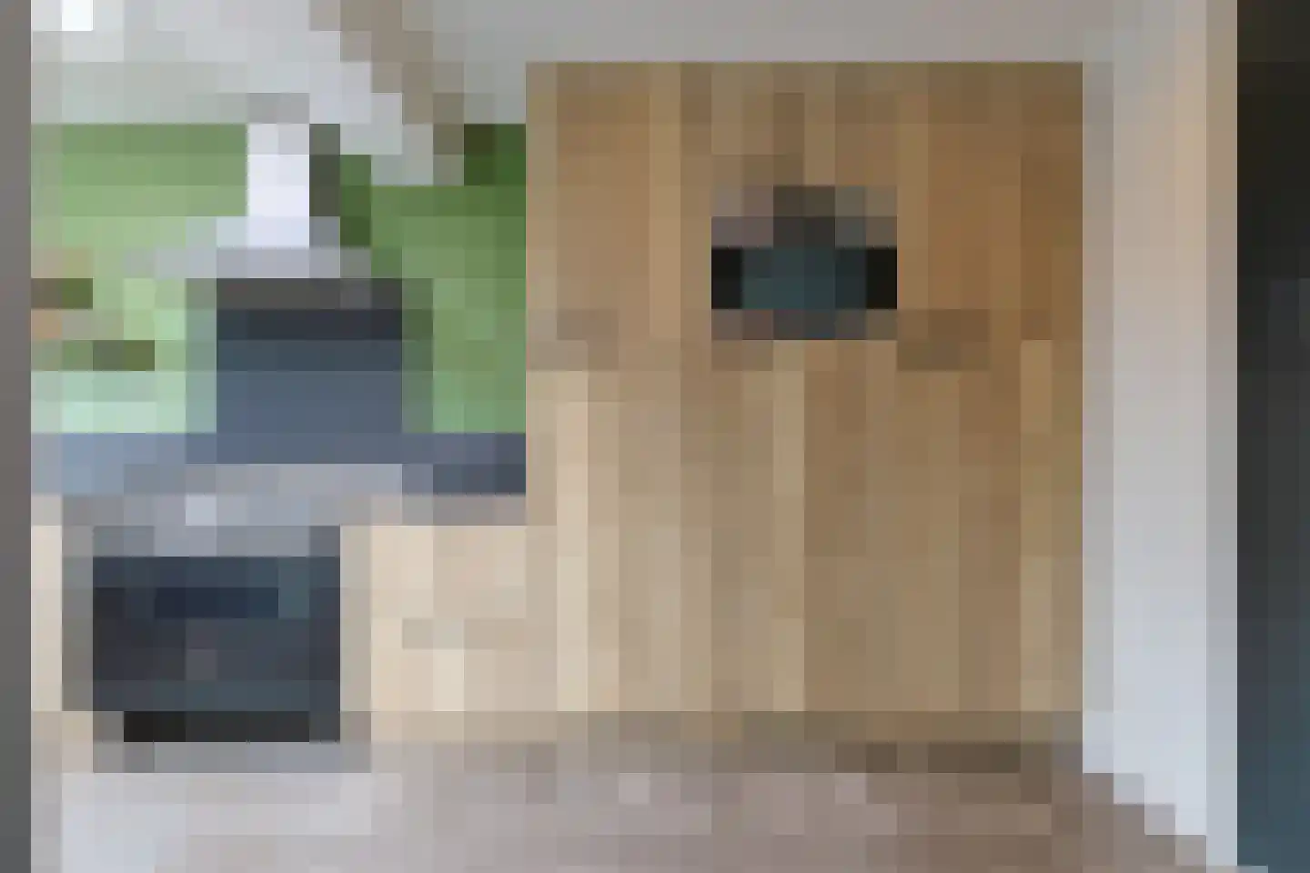 Kerklaan 37 Koudekerk aan den Rijn thumbnail 14