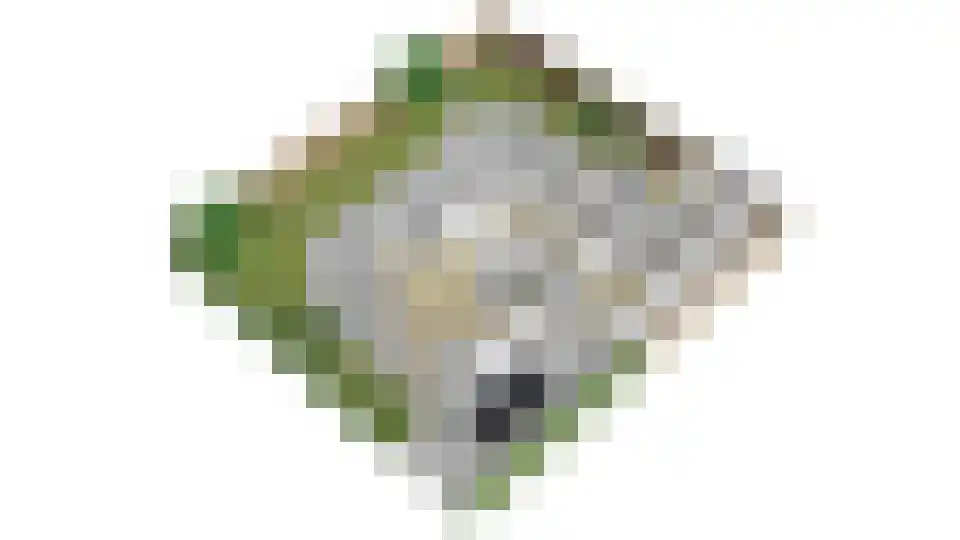 Kerklaan 38 Heteren thumbnail 67