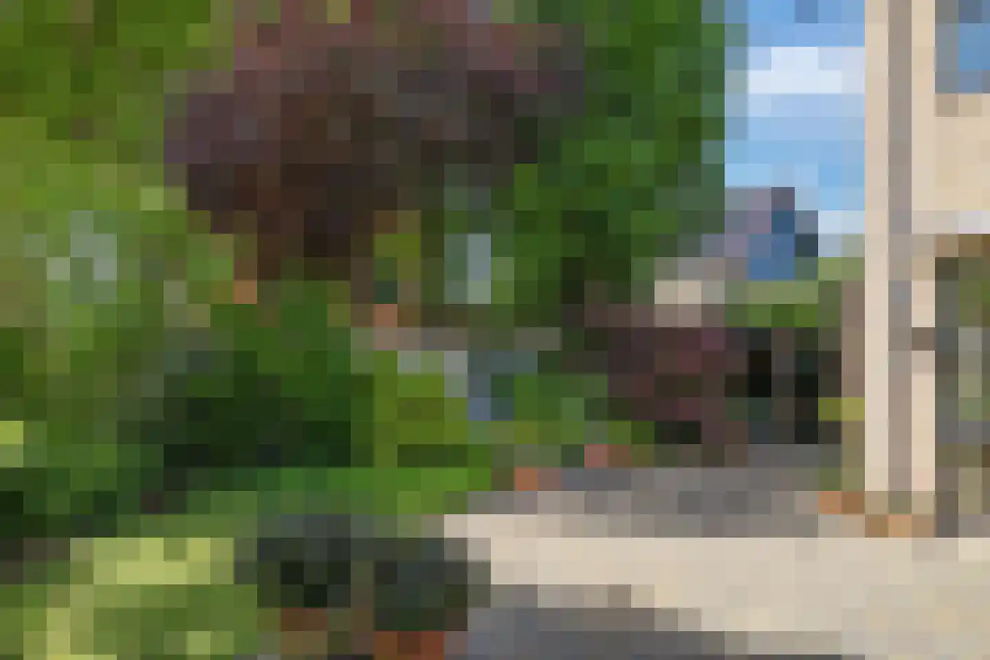 Kerklaan 38 Heteren thumbnail 78