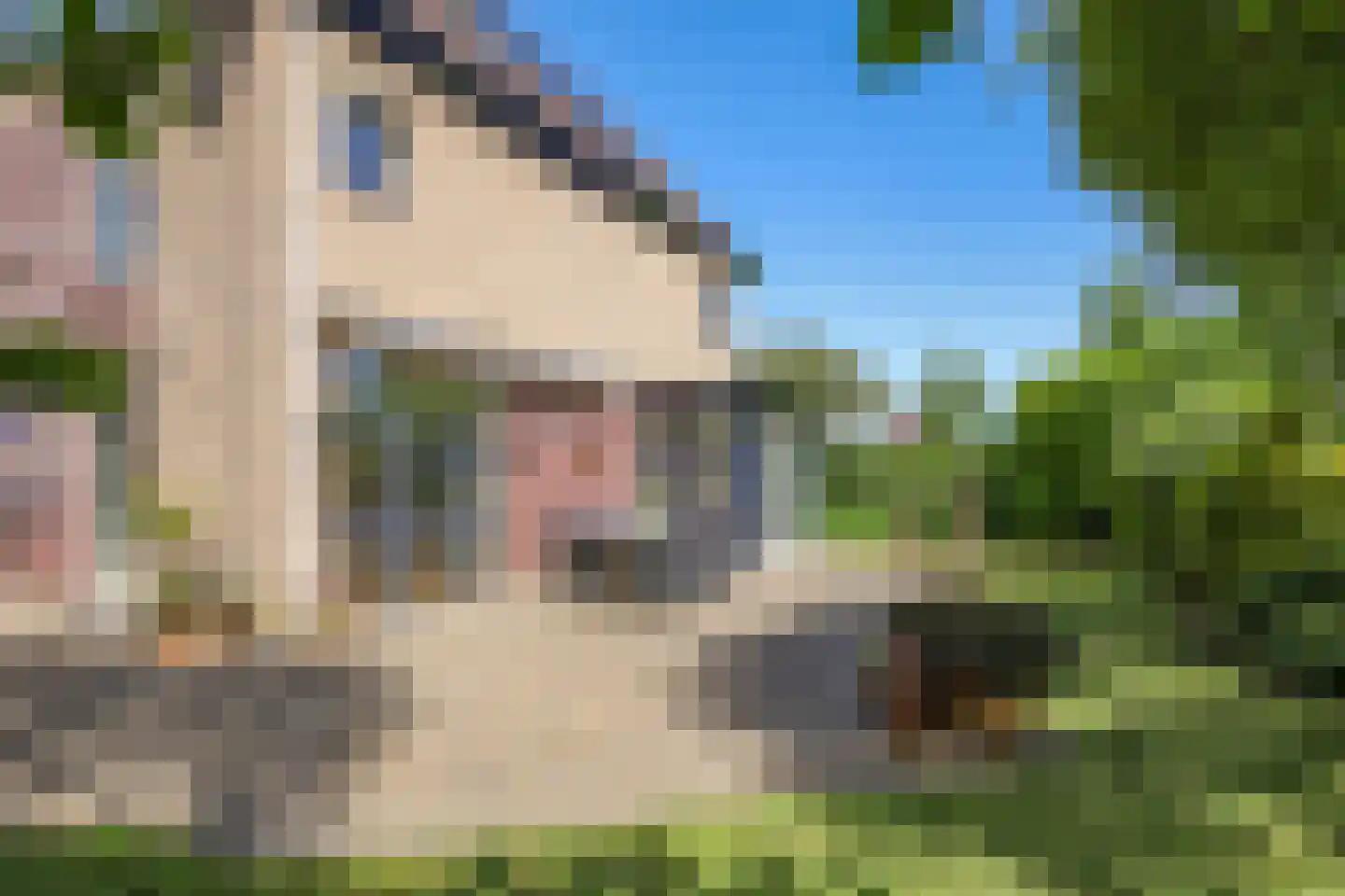 Kerklaan 38 Heteren thumbnail 79