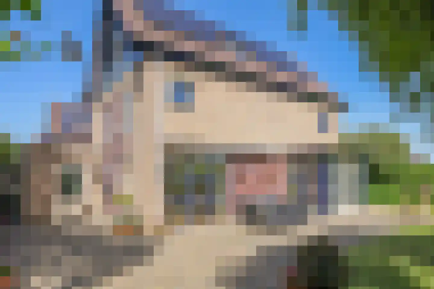 Kerklaan 38 Heteren thumbnail 8