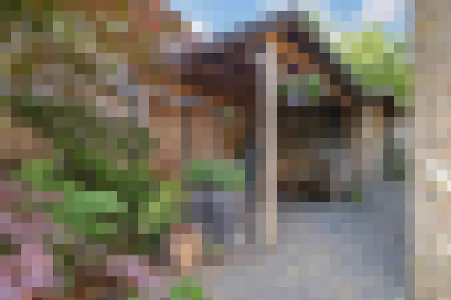 Kerklaan 38 Heteren thumbnail 81