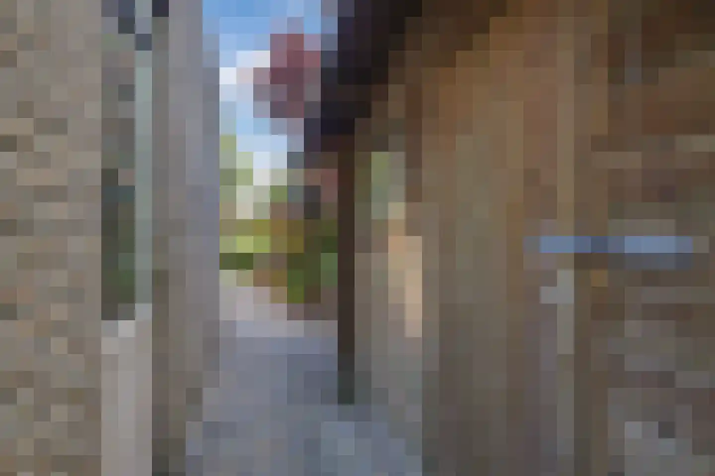 Kerklaan 38 Heteren thumbnail 83