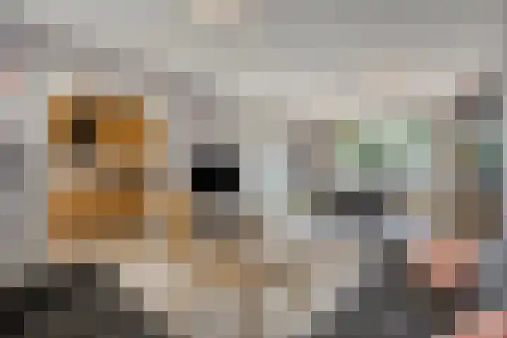Kerklaan 42 Koewacht thumbnail 13