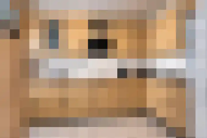 Kerklaan 42 Koewacht thumbnail 15