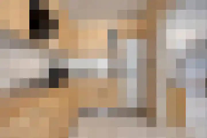 Kerklaan 42 Koewacht thumbnail 16