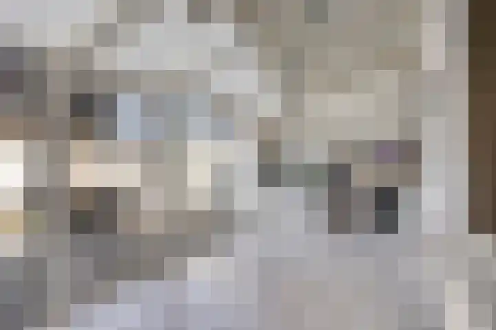 Kerklaan 42 Koewacht thumbnail 17