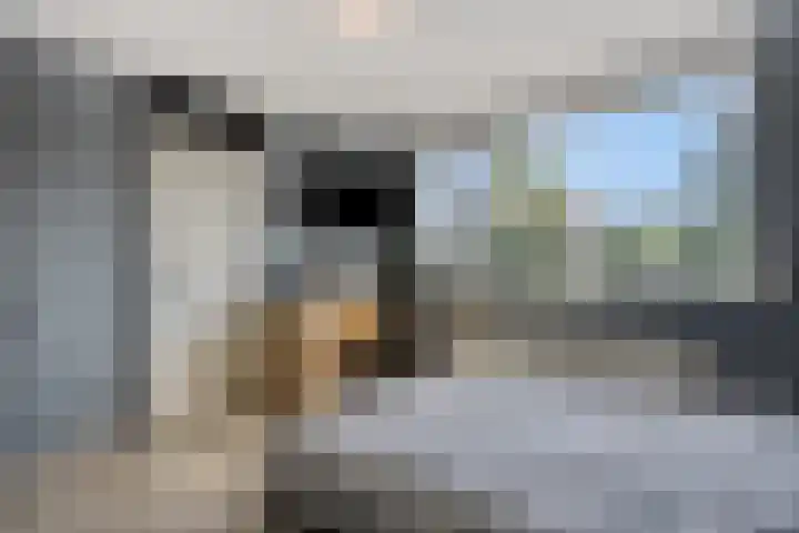 Kerklaan 42 Koewacht thumbnail 24