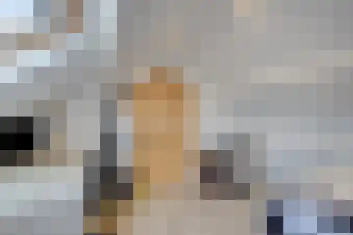 Kerklaan 42 Koewacht thumbnail 27