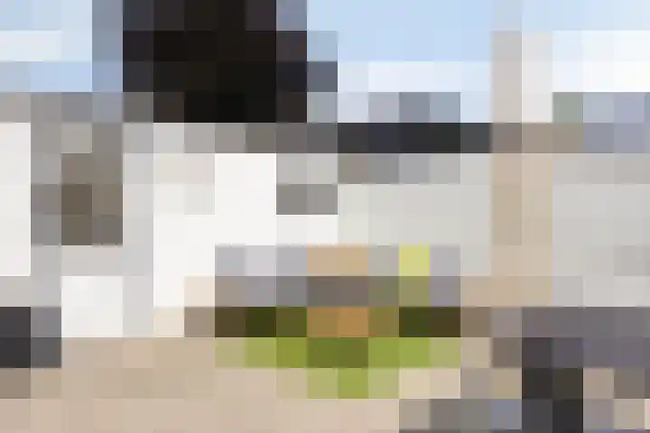 Kerklaan 42 Koewacht thumbnail 29