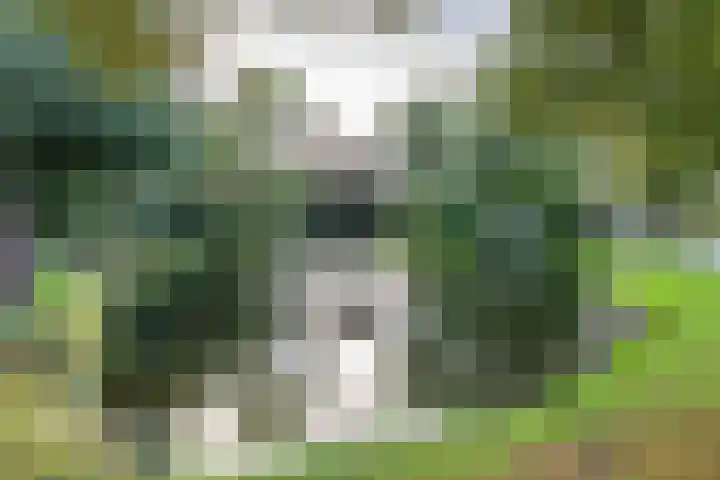 Kerklaan 44 Groningen thumbnail 37