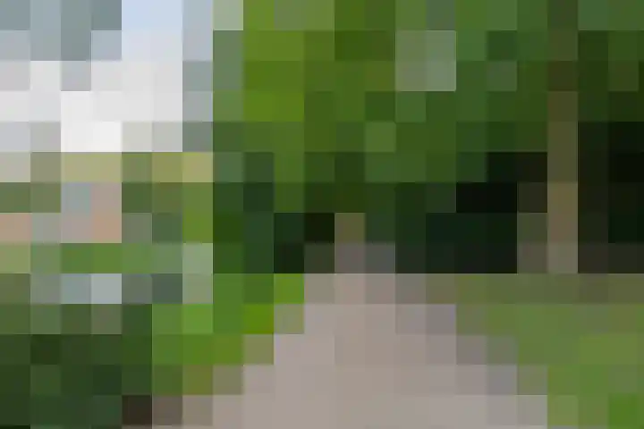 Kerklaan 44 Groningen thumbnail 38