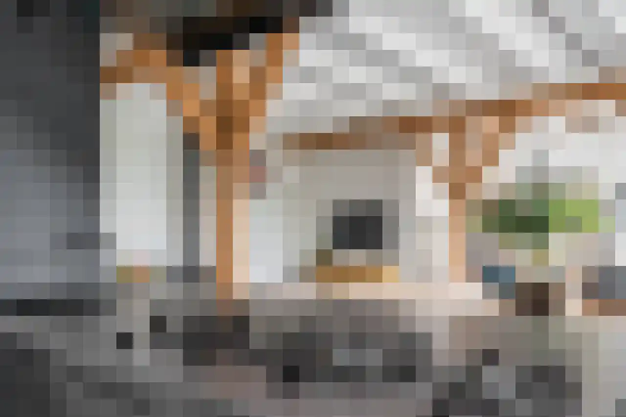 Kerklaan 45 c Nieuwerkerk aan den IJssel thumbnail 12