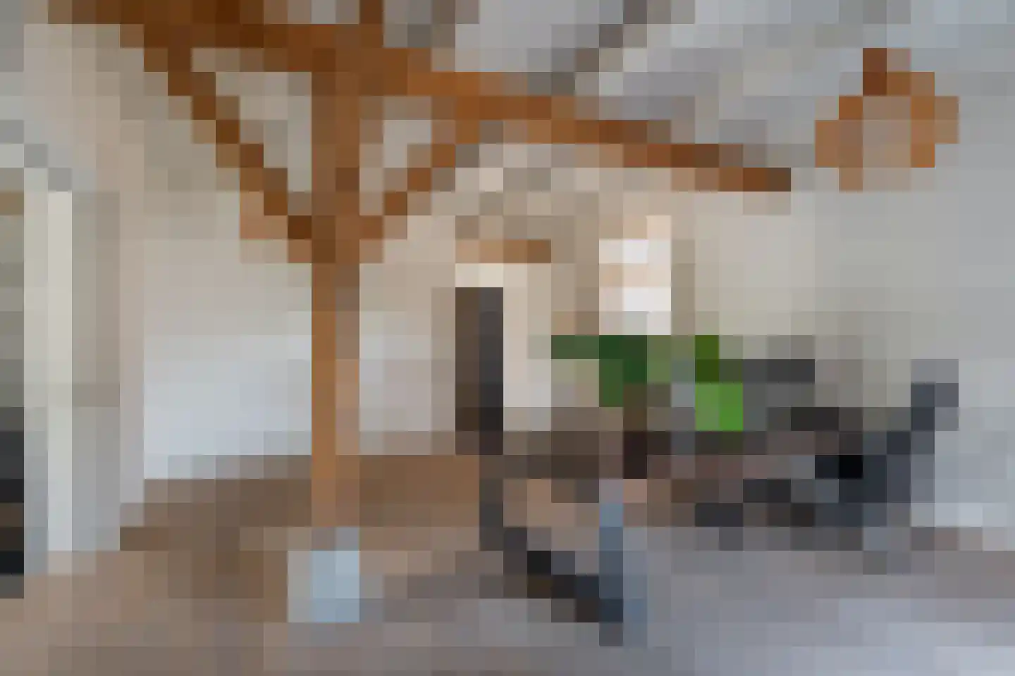 Kerklaan 45 c Nieuwerkerk aan den IJssel thumbnail 19