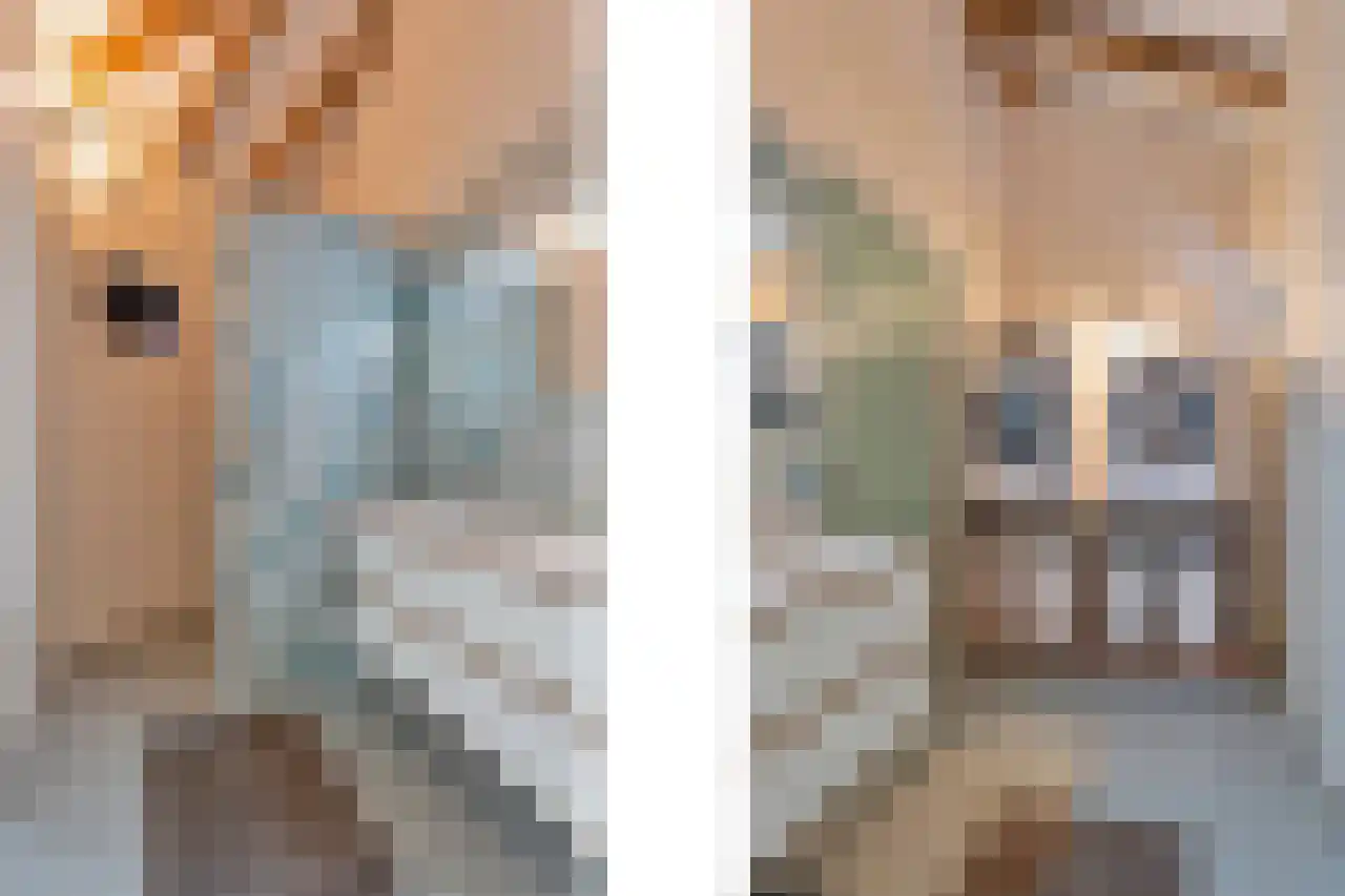 Kerklaan 45 c Nieuwerkerk aan den IJssel thumbnail 26