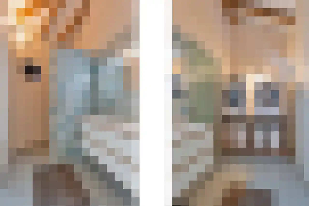 Kerklaan 45 c Nieuwerkerk aan den IJssel thumbnail 27