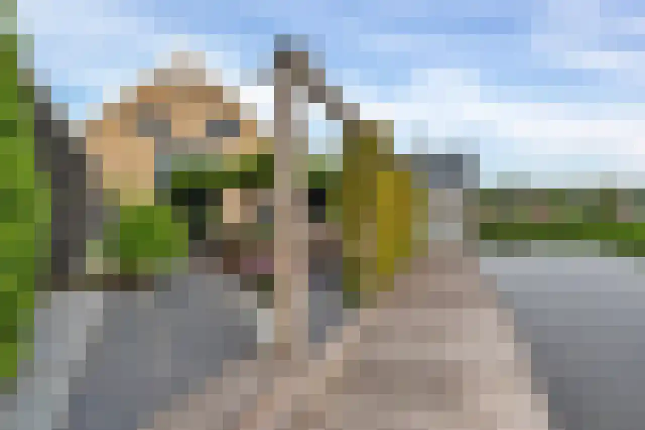 Kerklaan 45 c Nieuwerkerk aan den IJssel thumbnail 4