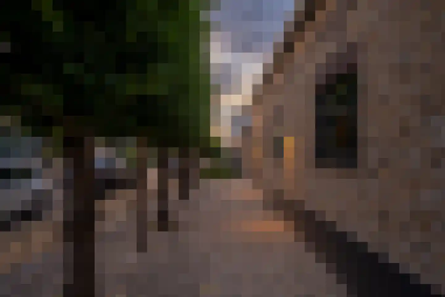 Kerklaan 45 c Nieuwerkerk aan den IJssel thumbnail 50